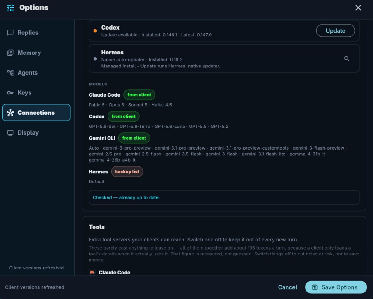The Connections screen listing installed AI coding clients and their models.